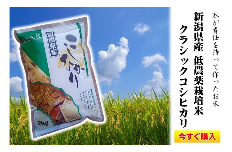 新潟県産　低農薬栽培米　クラシックコシヒカリ