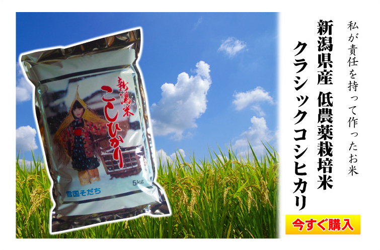 新潟県産　低農薬栽培米　クラシックコシヒカリ